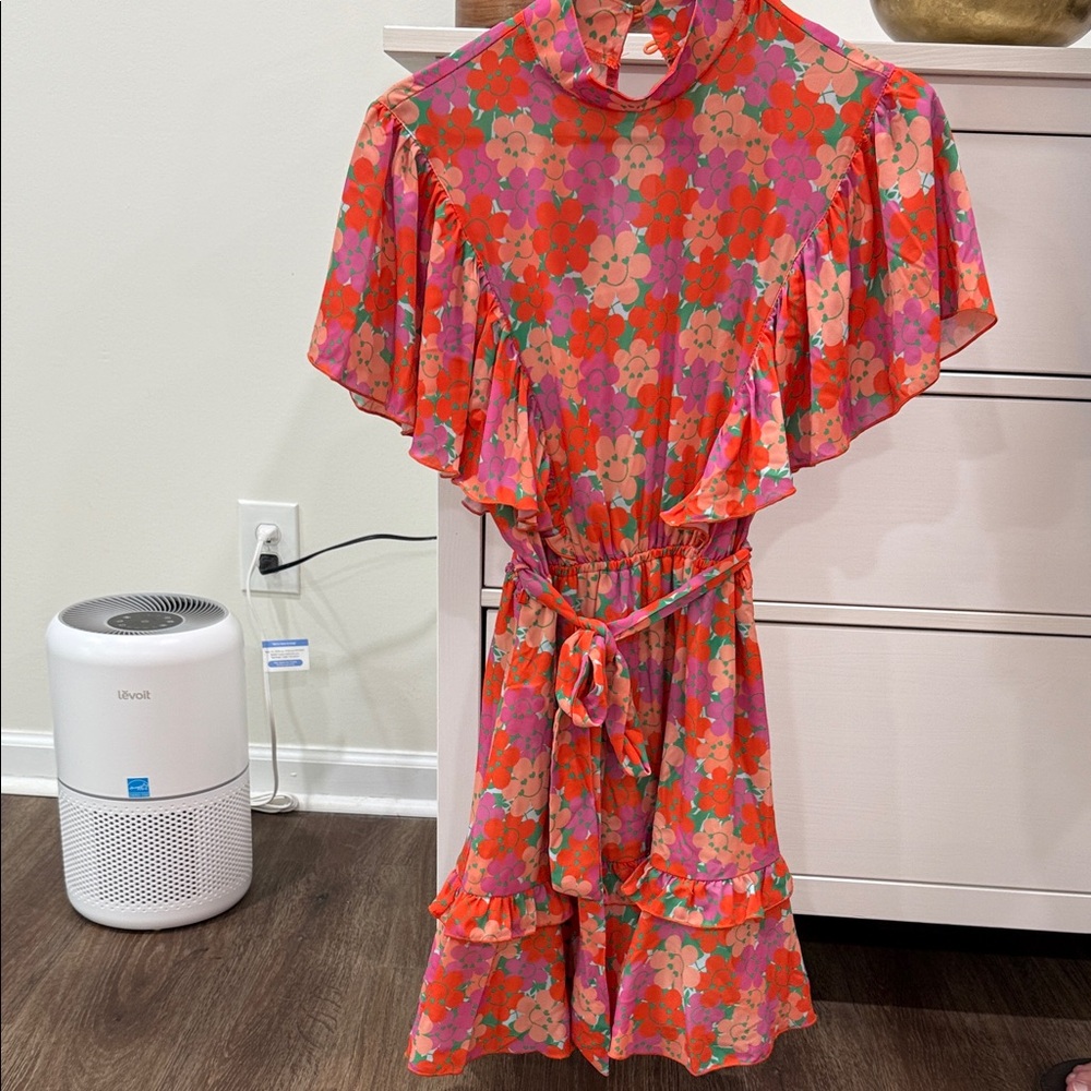 Floral Pink and Red Dress with Ruffle Sleeves